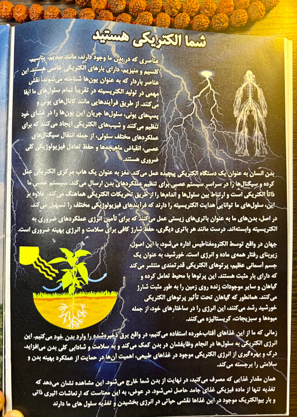 Pdf کتاب راهنمای سلامت هری ب جوزف نسخه کامل